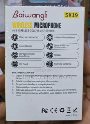 Baiwangli Sx19 Wireless Microphone