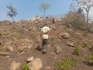 Stone Hill