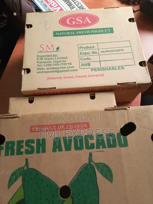 Vegetables and Fruit Export Boxes