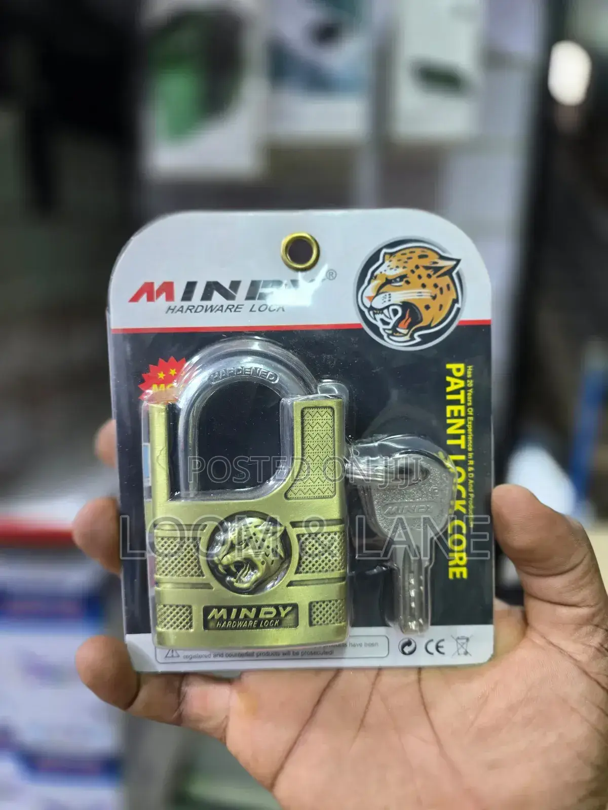 Standard Mindy Hardware Padlock