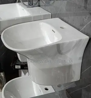 Sinks Wall Mounted