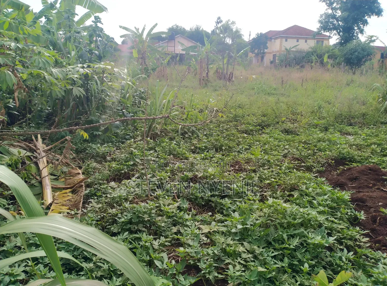 Bwaise Kawempe Mbogo Land for Sale