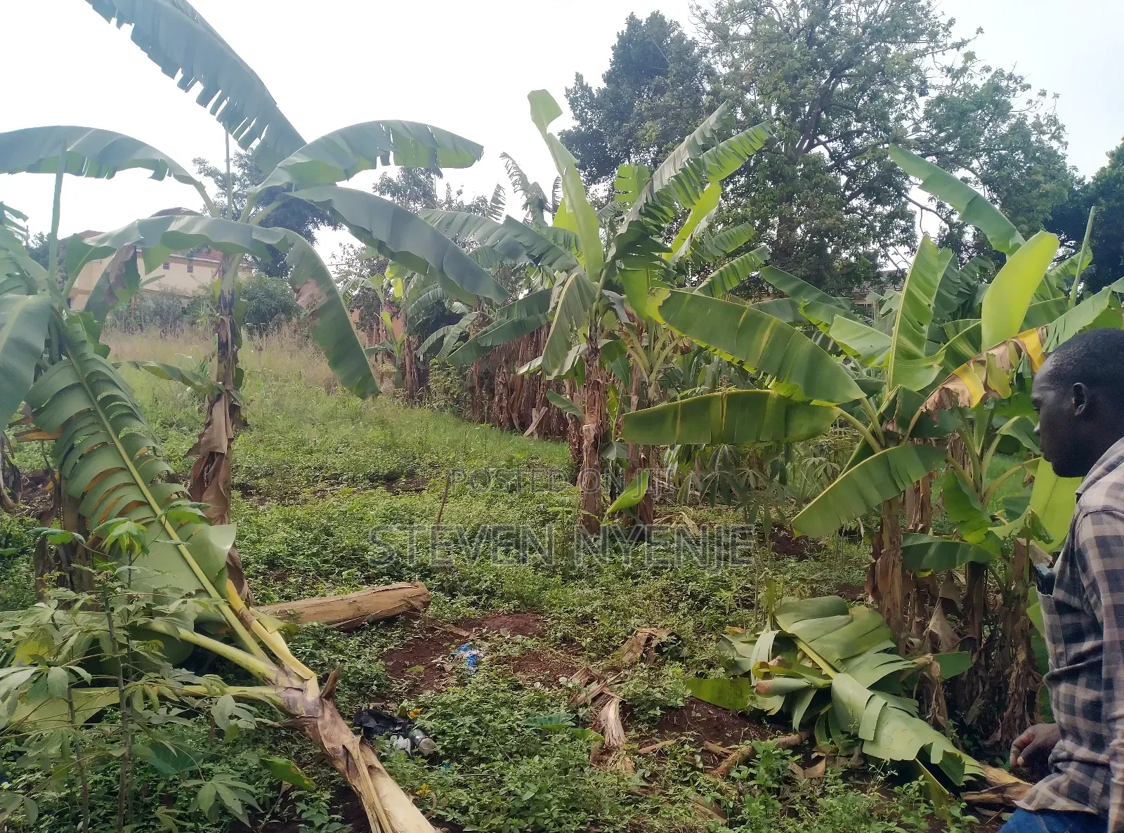 Bwaise Kawempe Mbogo Land for Sale