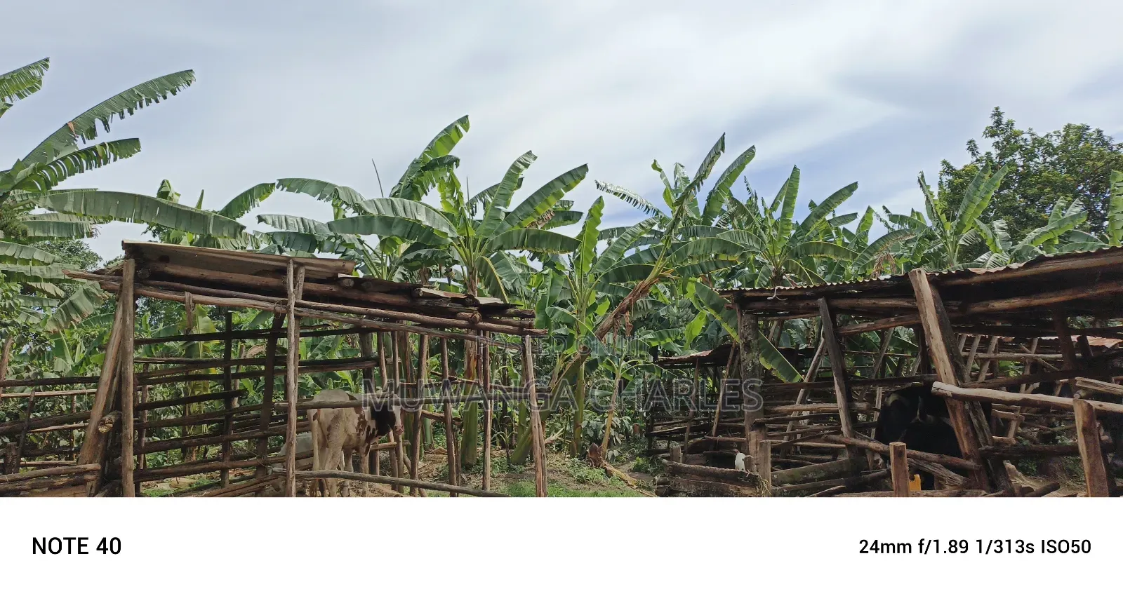 1acre Commercial Land for Sale in Kawempe Tula