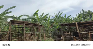 1acre Commercial Land for Sale in Kawempe Tula