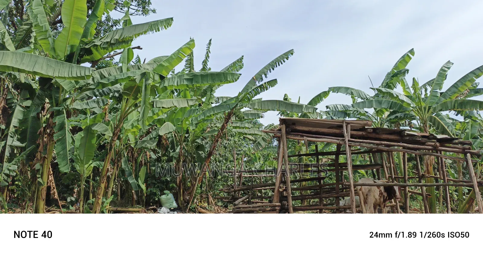 1acre Commercial Land for Sale in Kawempe Tula