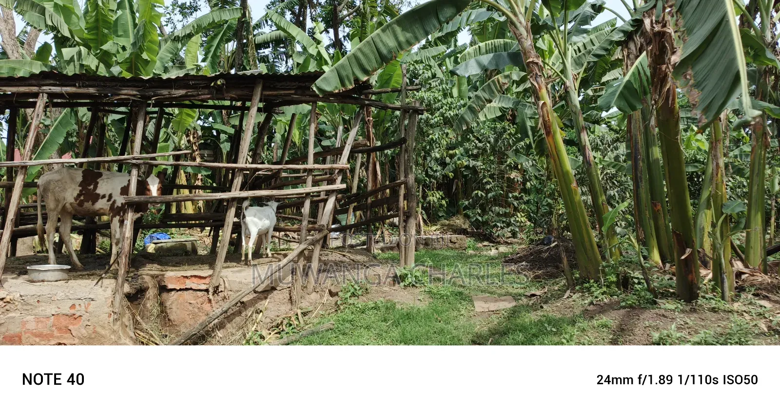 1acre Commercial Land for Sale in Kawempe Tula