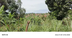 2acres of Land for Sale in Kawempe Tula