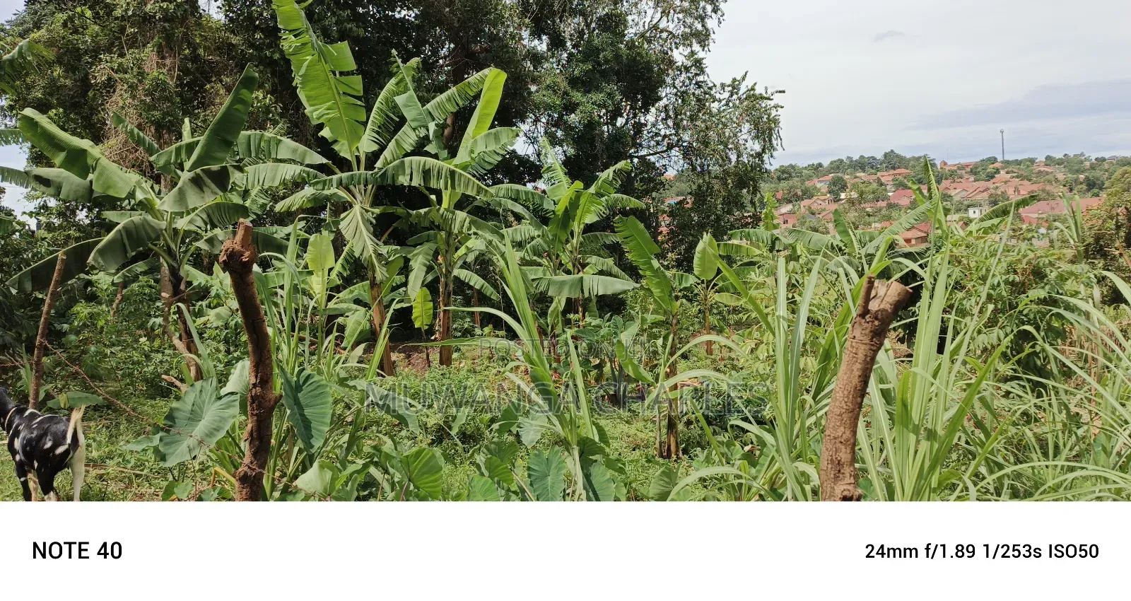 2acres of Land for Sale in Kawempe Tula