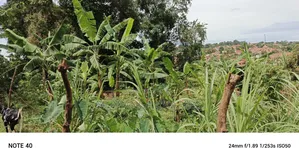 2acres of Land for Sale in Kawempe Tula