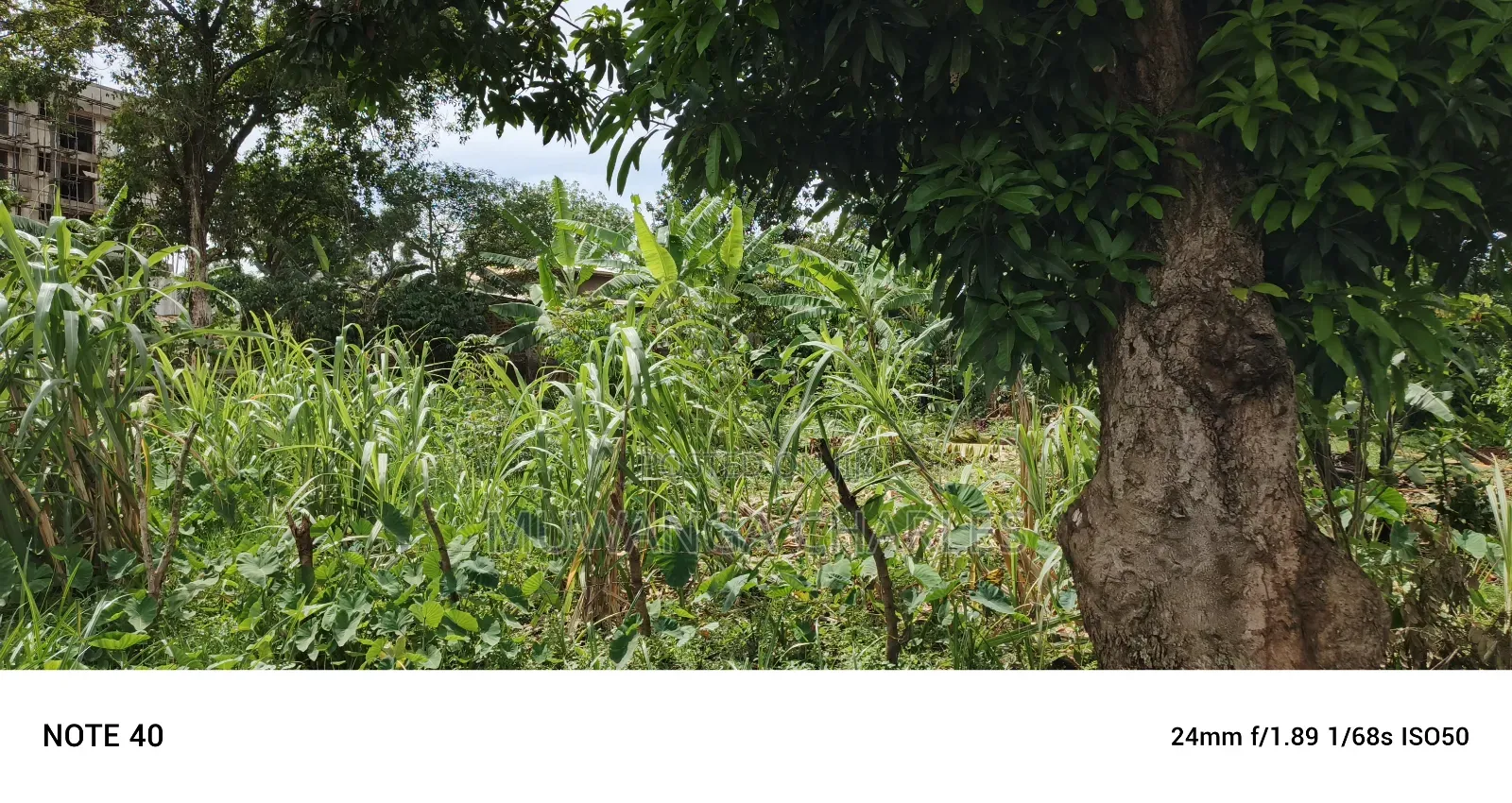 2acres of Land for Sale in Kawempe Tula