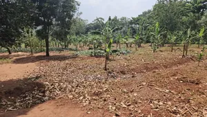 2acres of Land on Sale in Nkumba Entebbe Road