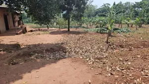 2acres of Land on Sale in Nkumba Entebbe Road