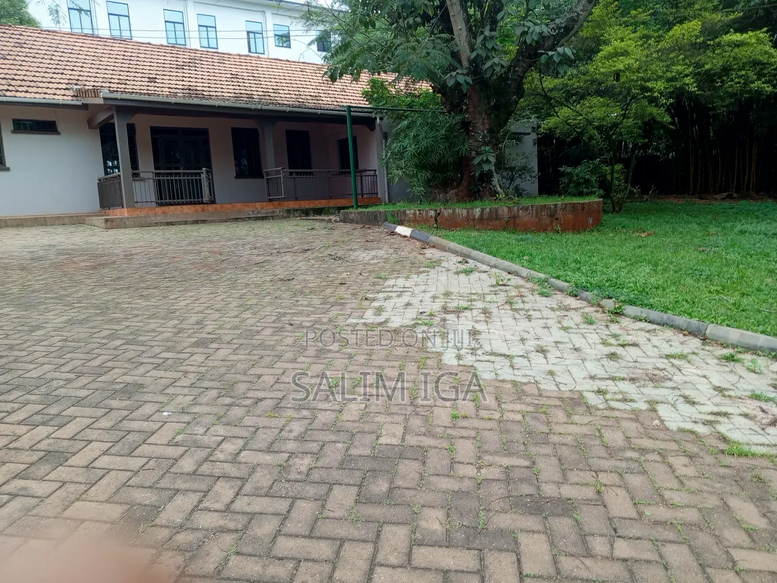 3bdrm Bungalow in Kololo Property, Central Division for rent