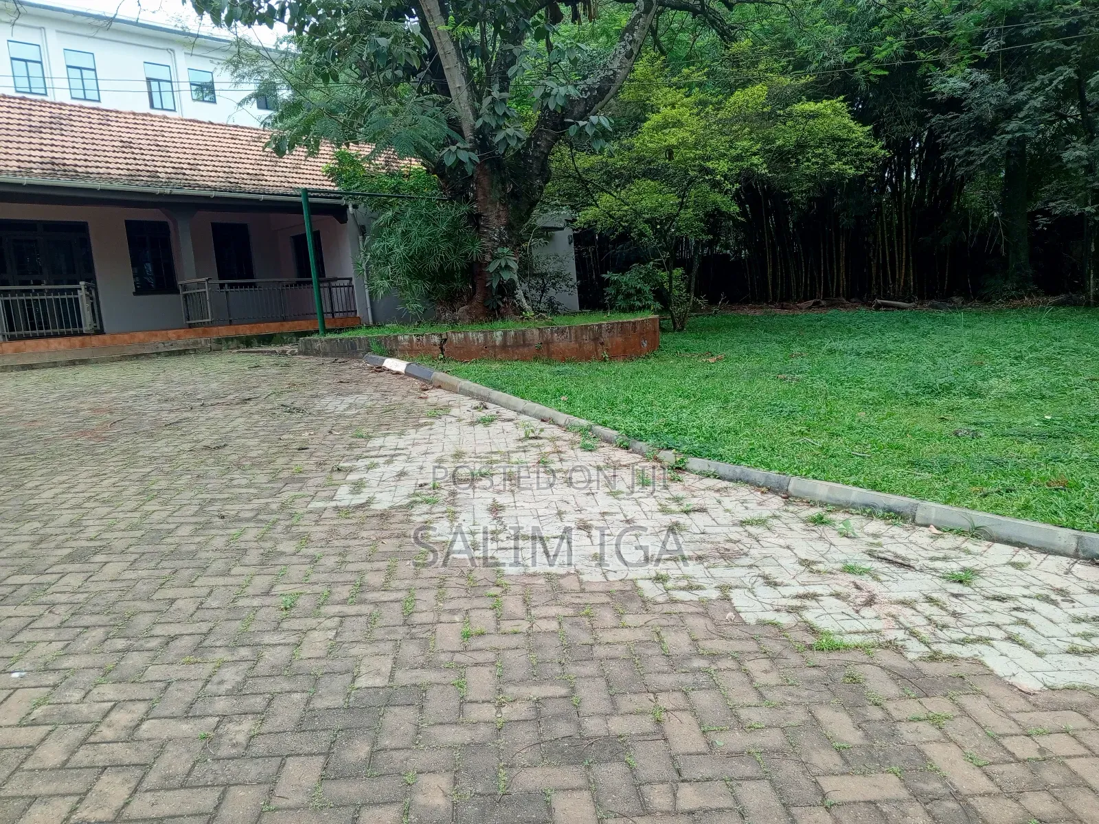 3bdrm Bungalow in Kololo Property, Central Division for rent