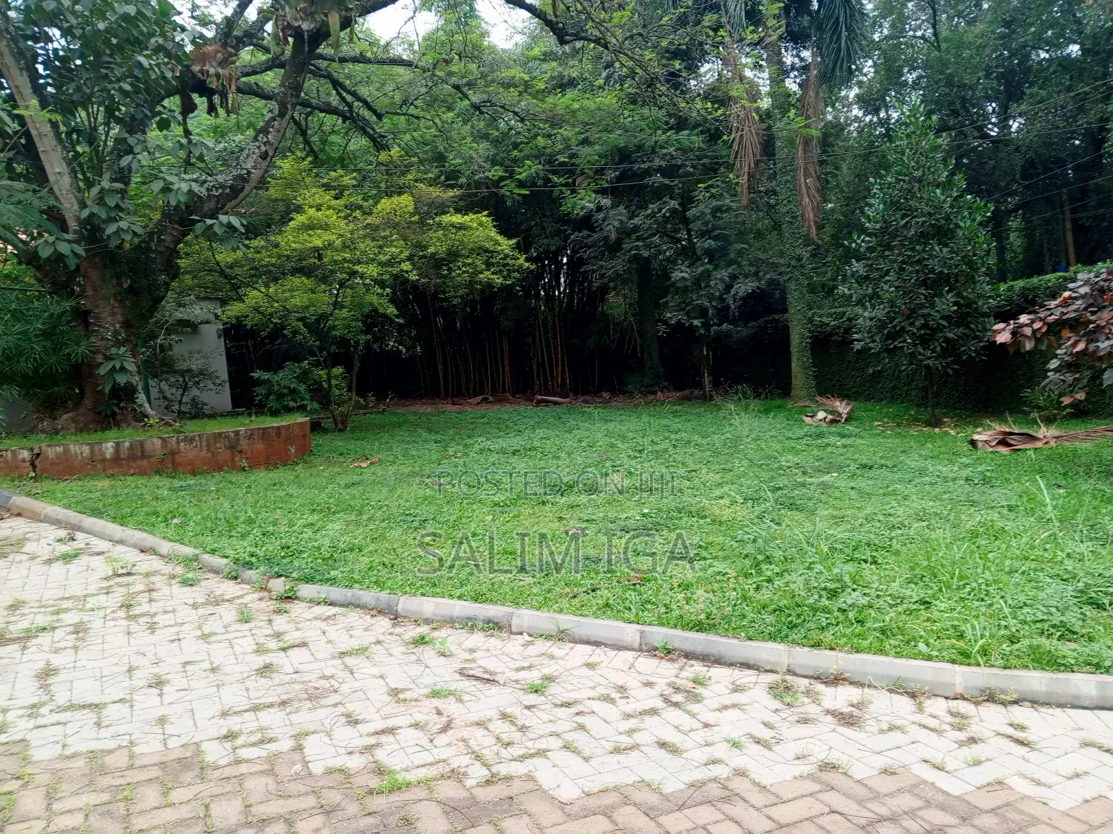 3bdrm Bungalow in Kololo Property, Central Division for rent