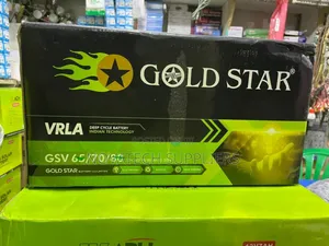 70 Ah Gold Star Vrla Solar Powder Battery Kins