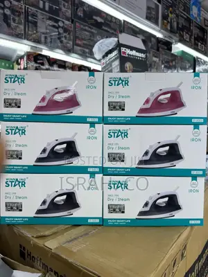 Winning Star St-5003dry Iron