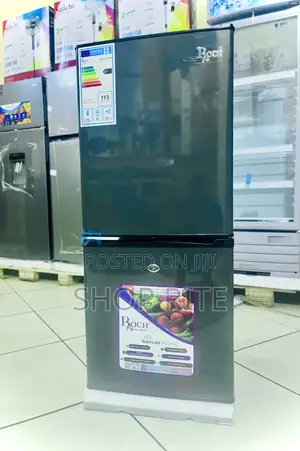 Roch 145 Liters Refrigerator Bottom Freezer