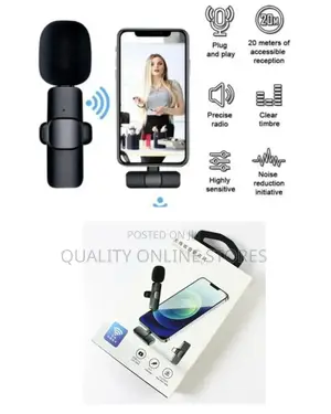 Portable Wireless Microphone