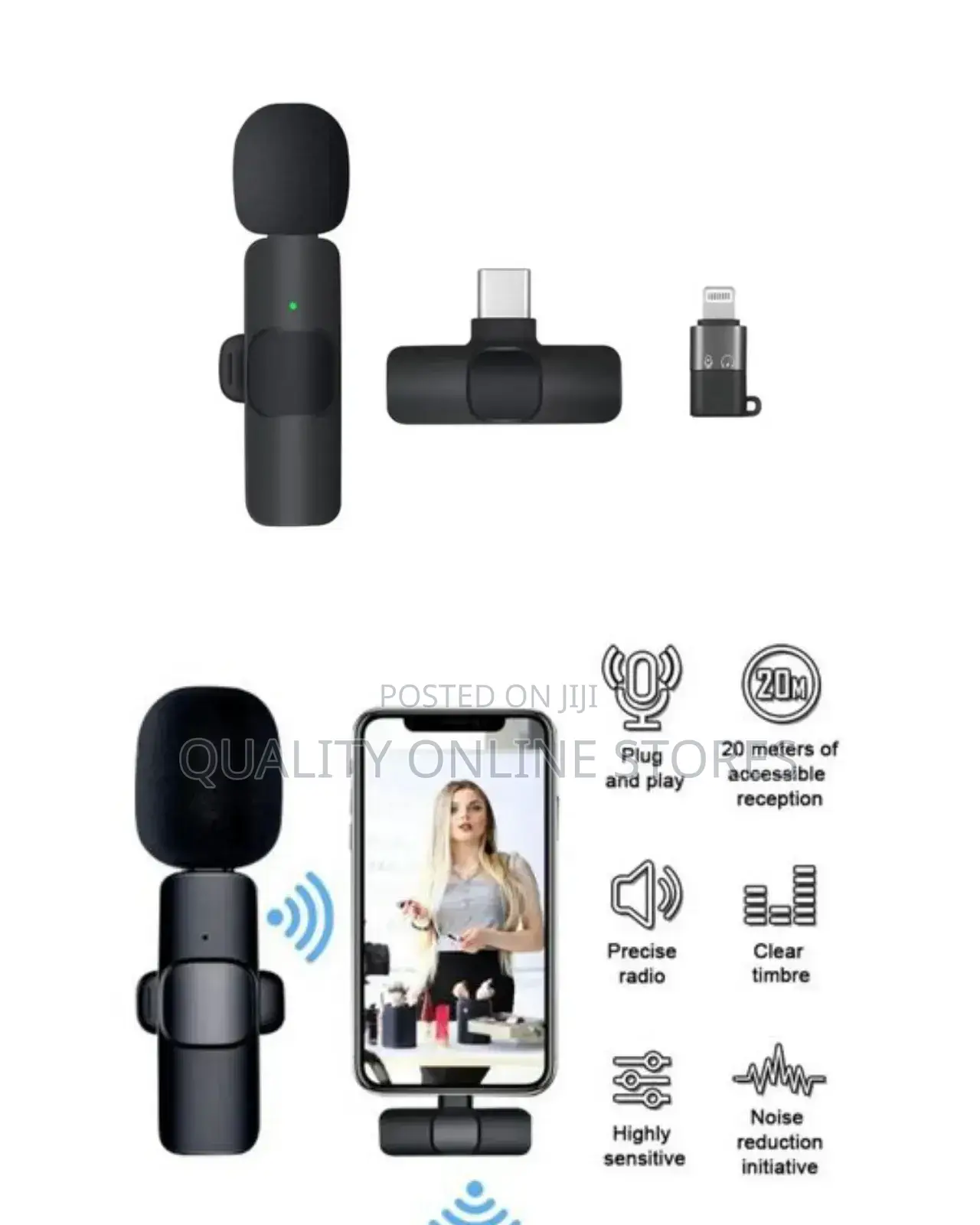 Portable Wireless Microphone