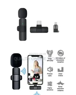 Portable Wireless Microphone