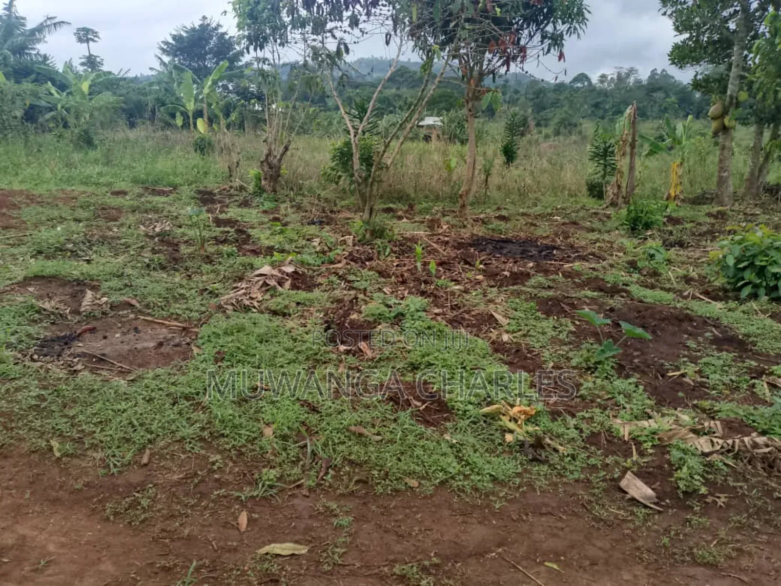 Plot for Sale in Gayaza Masoli