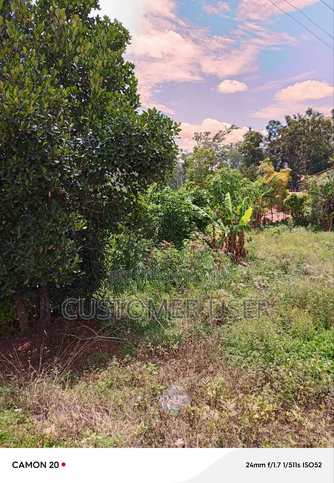 Half Acre of Land on Main Road