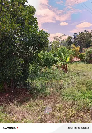 Half Acre of Land on Main Road