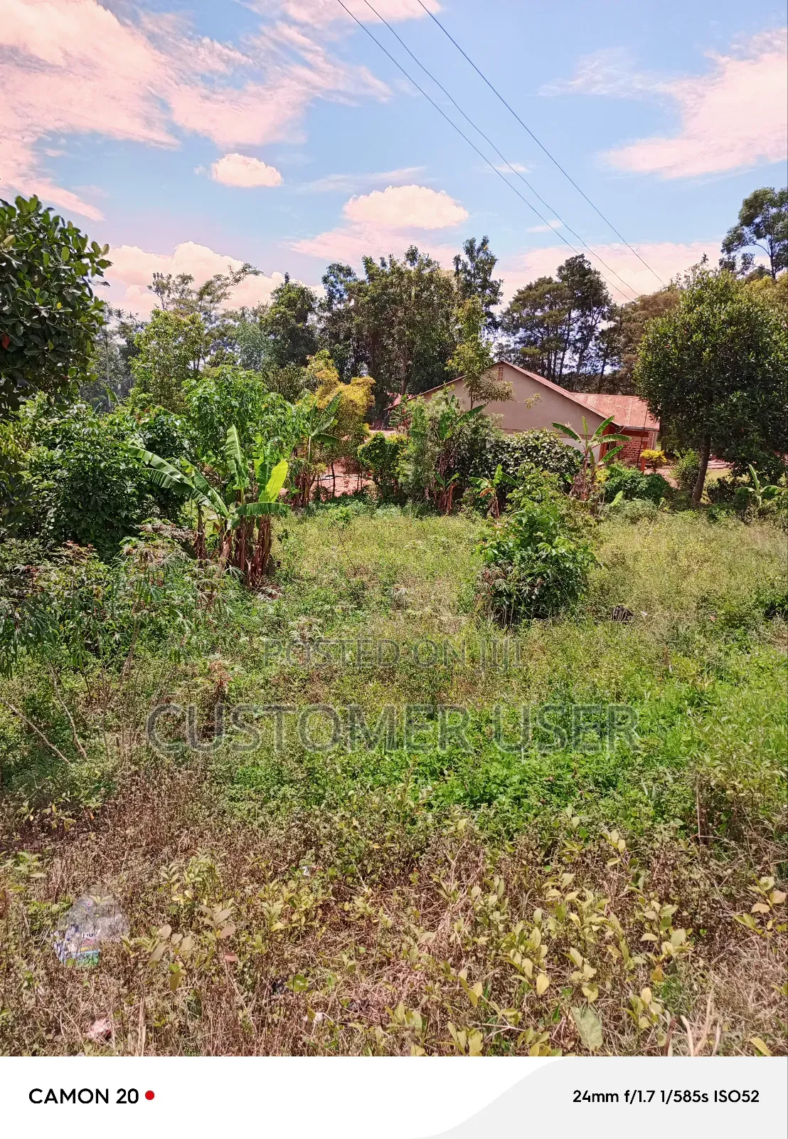 Half Acre of Land on Main Road