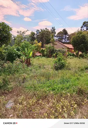 Half Acre of Land on Main Road