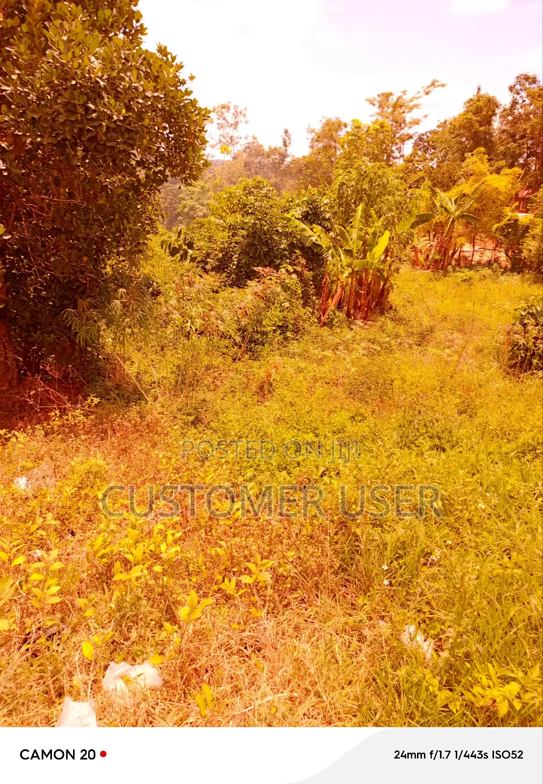 Half Acre of Land on Main Road