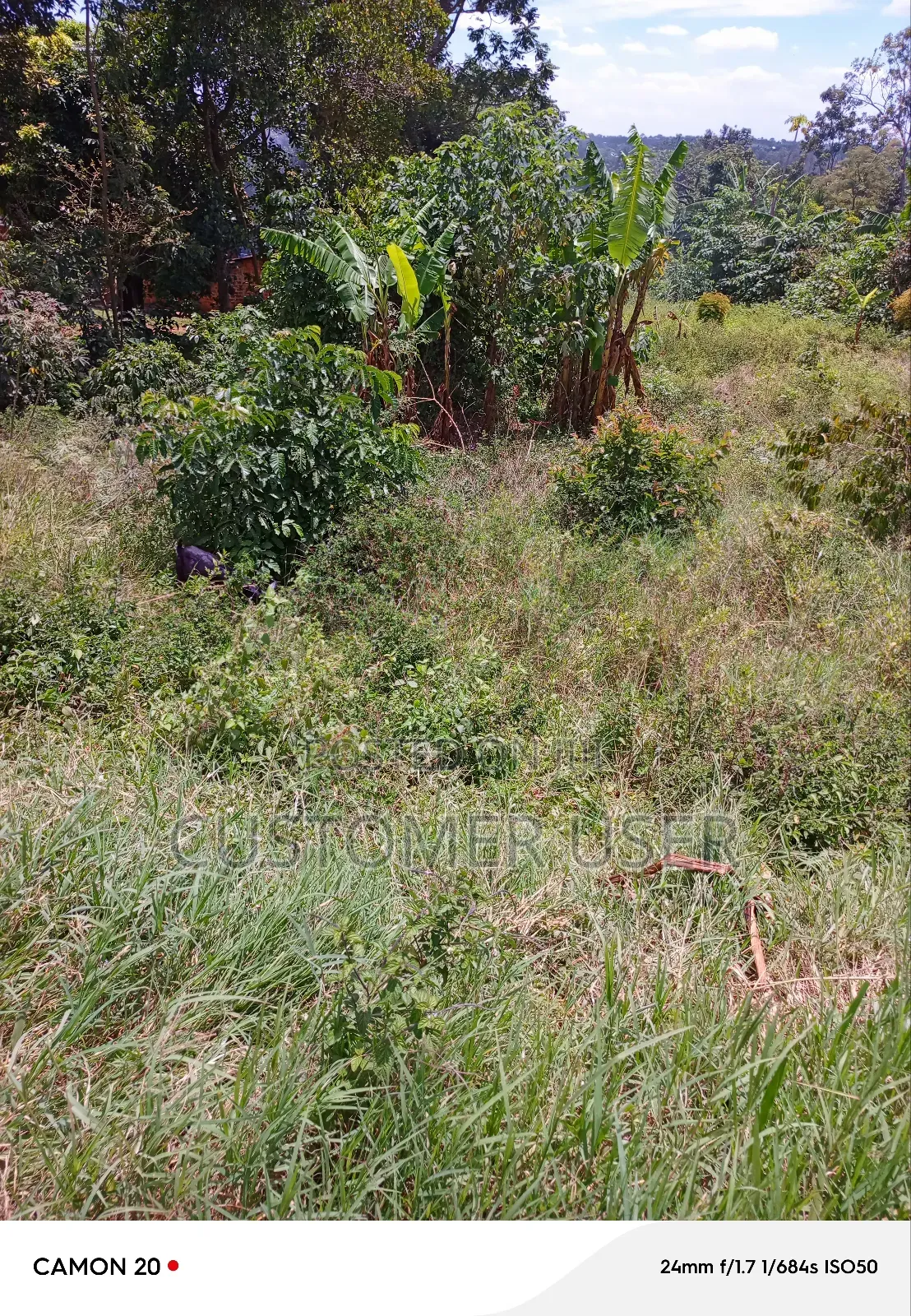 Half Acre of Land on Main Road