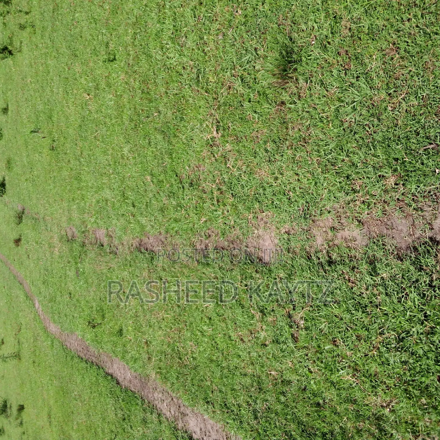 Livestock Farm With Manager's House