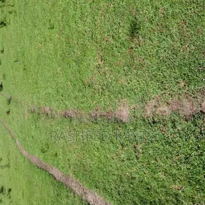 Livestock Farm With Manager's House