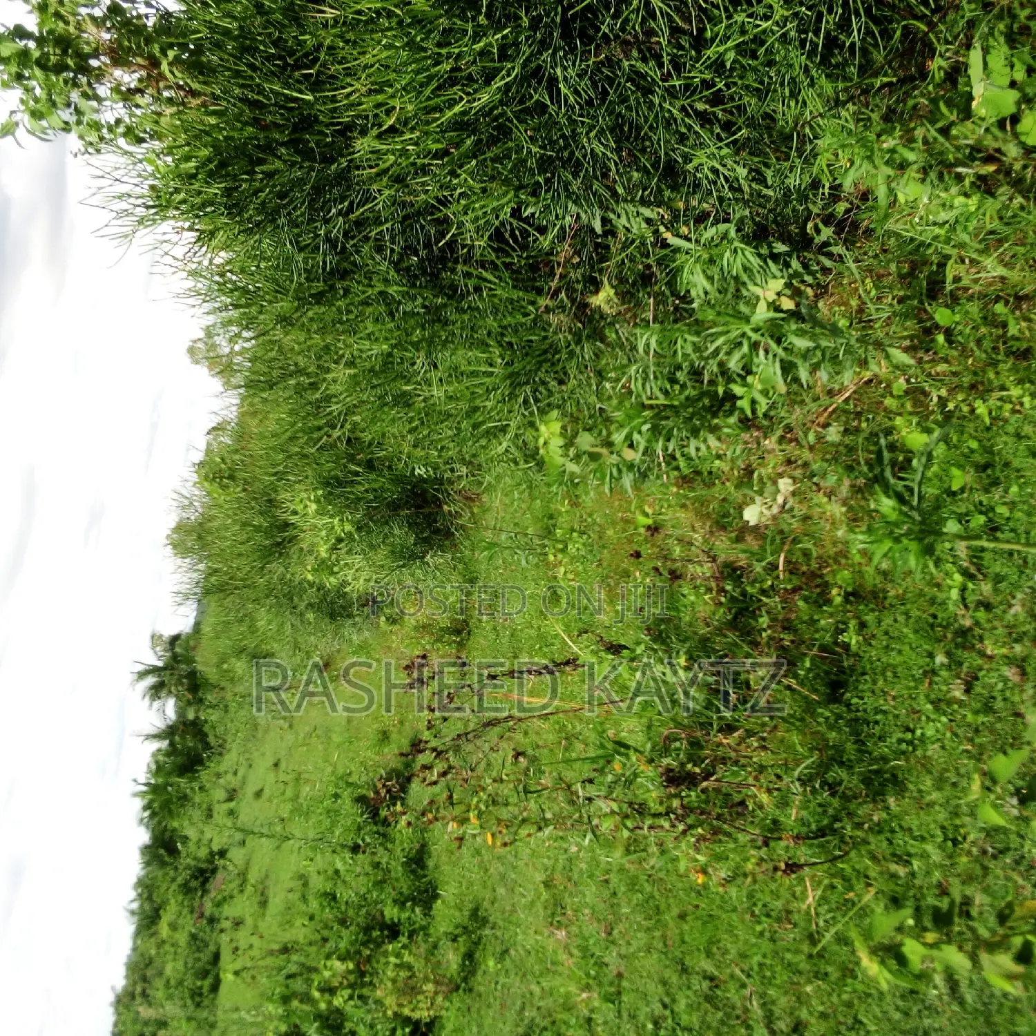 Livestock Farm With Manager's House
