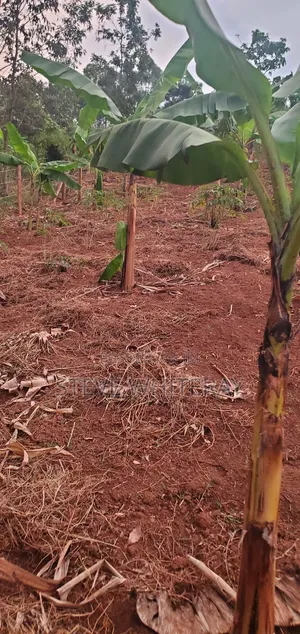 Corporate Land Nakawuka Hill Side