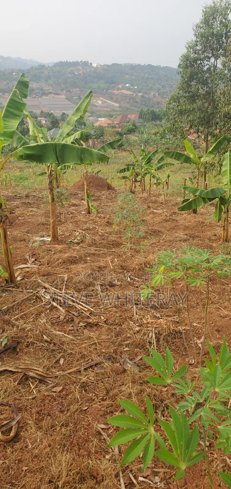 Corporate Land Nakawuka Hill Side