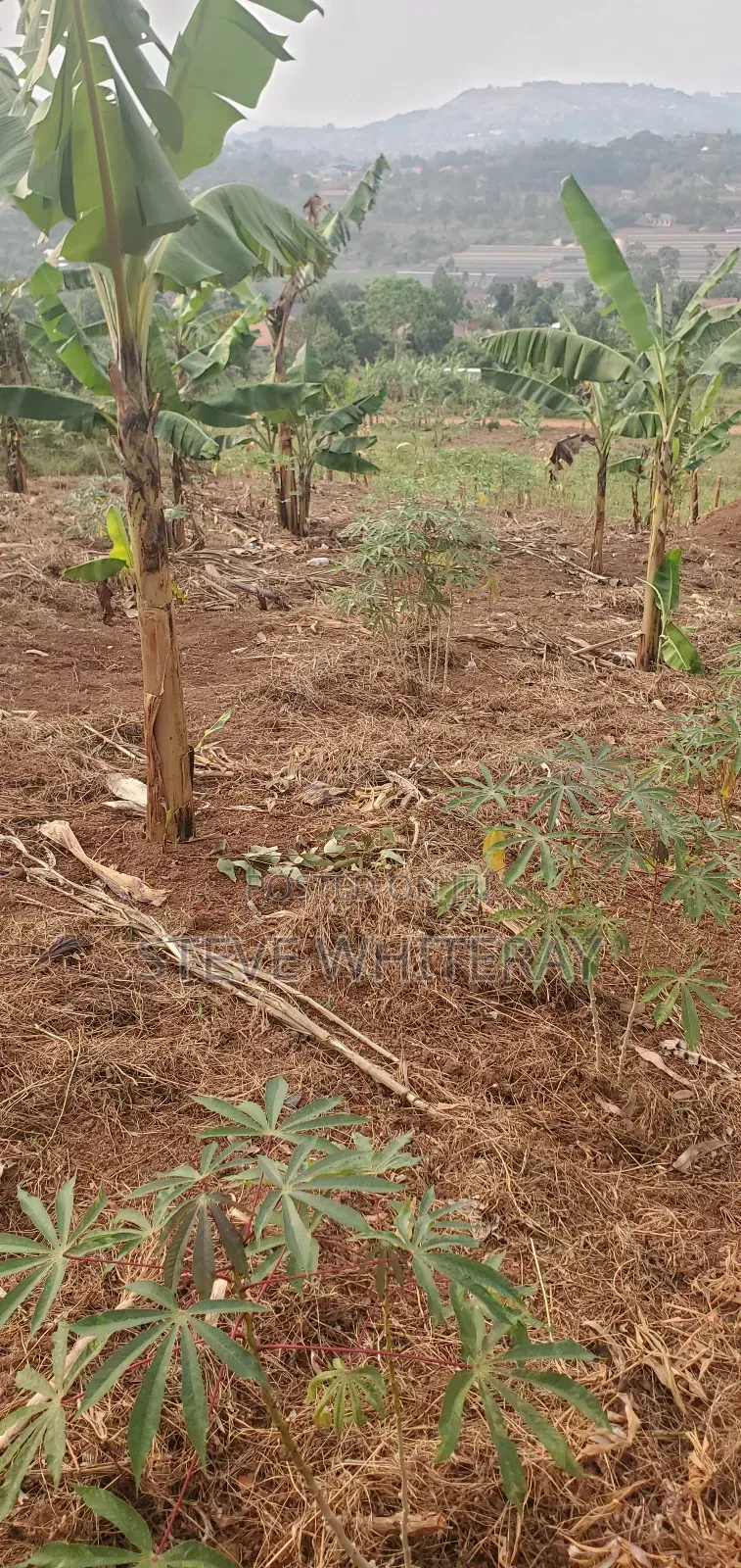 Corporate Land Nakawuka Hill Side