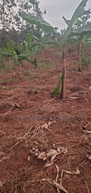 Corporate Land Nakawuka Hill Side
