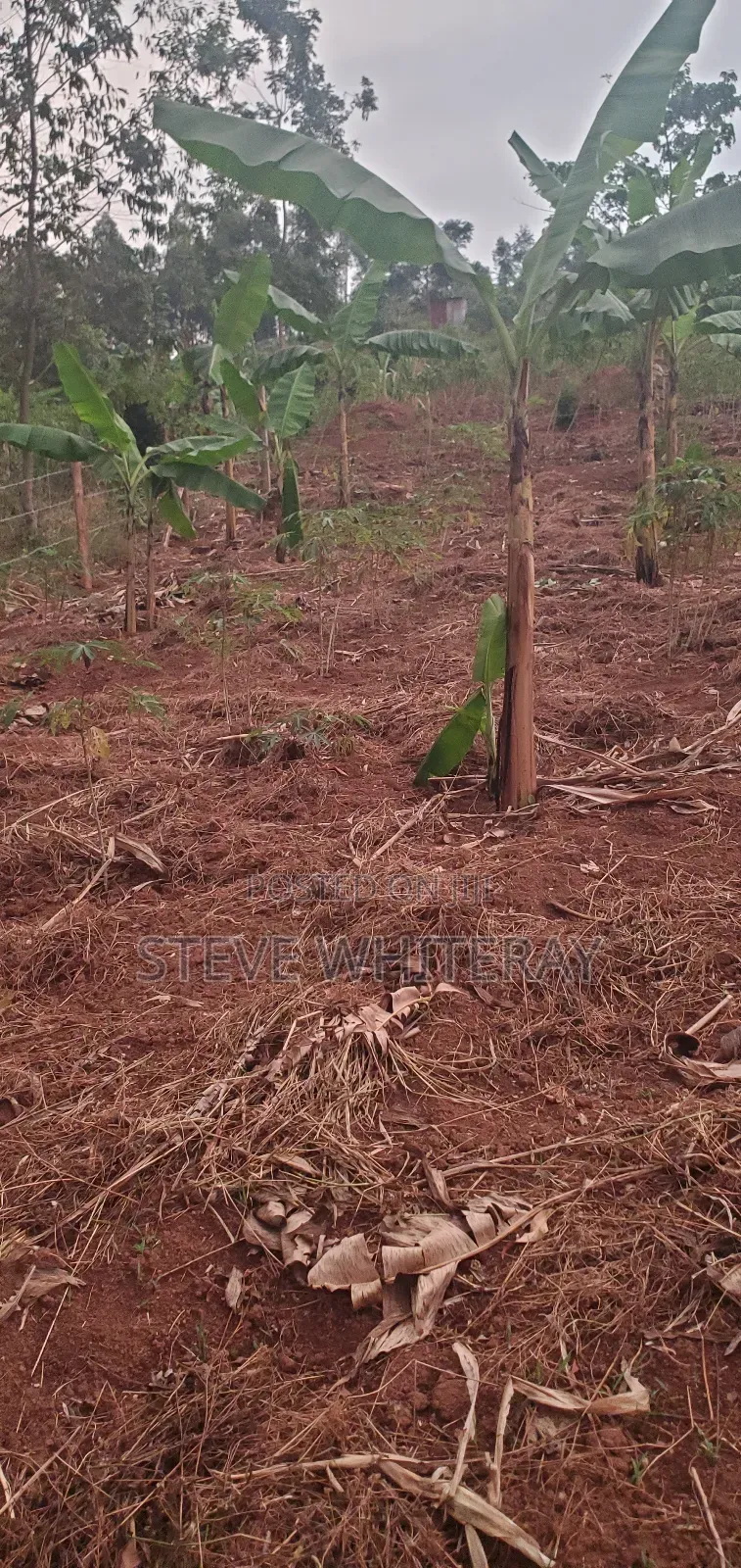 Corporate Land Nakawuka Hill Side