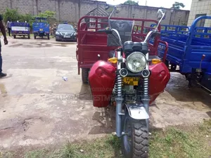 Tricycle 2024 Red