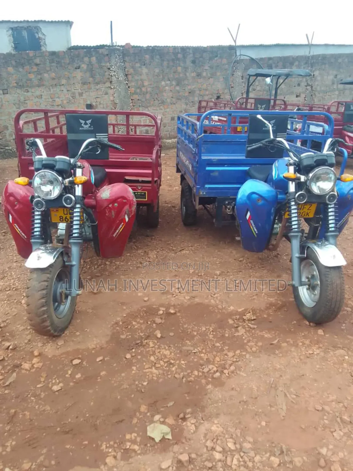 Tricycle 2024 Blue
