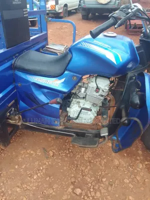 Tricycle 2024 Blue