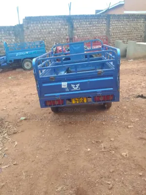 Tricycle 2024 Blue