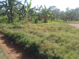 Plot for Sale in Busukuma Phase 2
