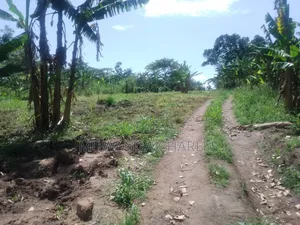 Plot for Sale in Busukuma Phase 2