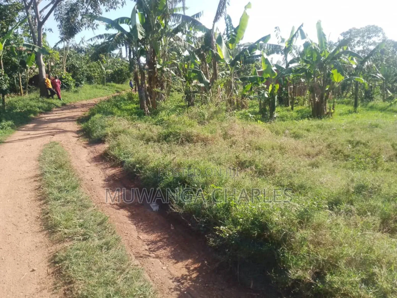 Plot for Sale in Busukuma Phase 2