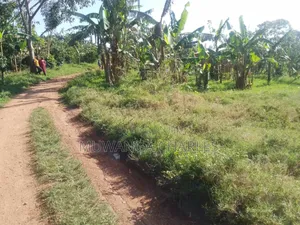 Plot for Sale in Busukuma Phase 2