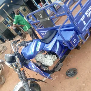 Tricycle 2025 Blue